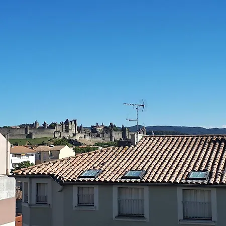 Grand Vue Sur La Cite ! 卡尔卡松