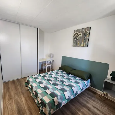 Grand Vue Sur La Cité ! Carcassonne