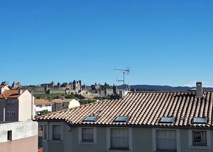 Grand Vue Sur La Cite ! Carcassonne