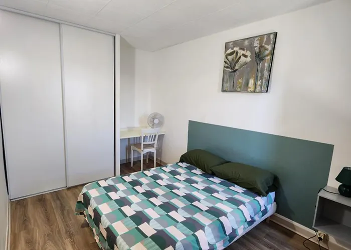 Grand Vue Sur La Cite ! Carcassonne